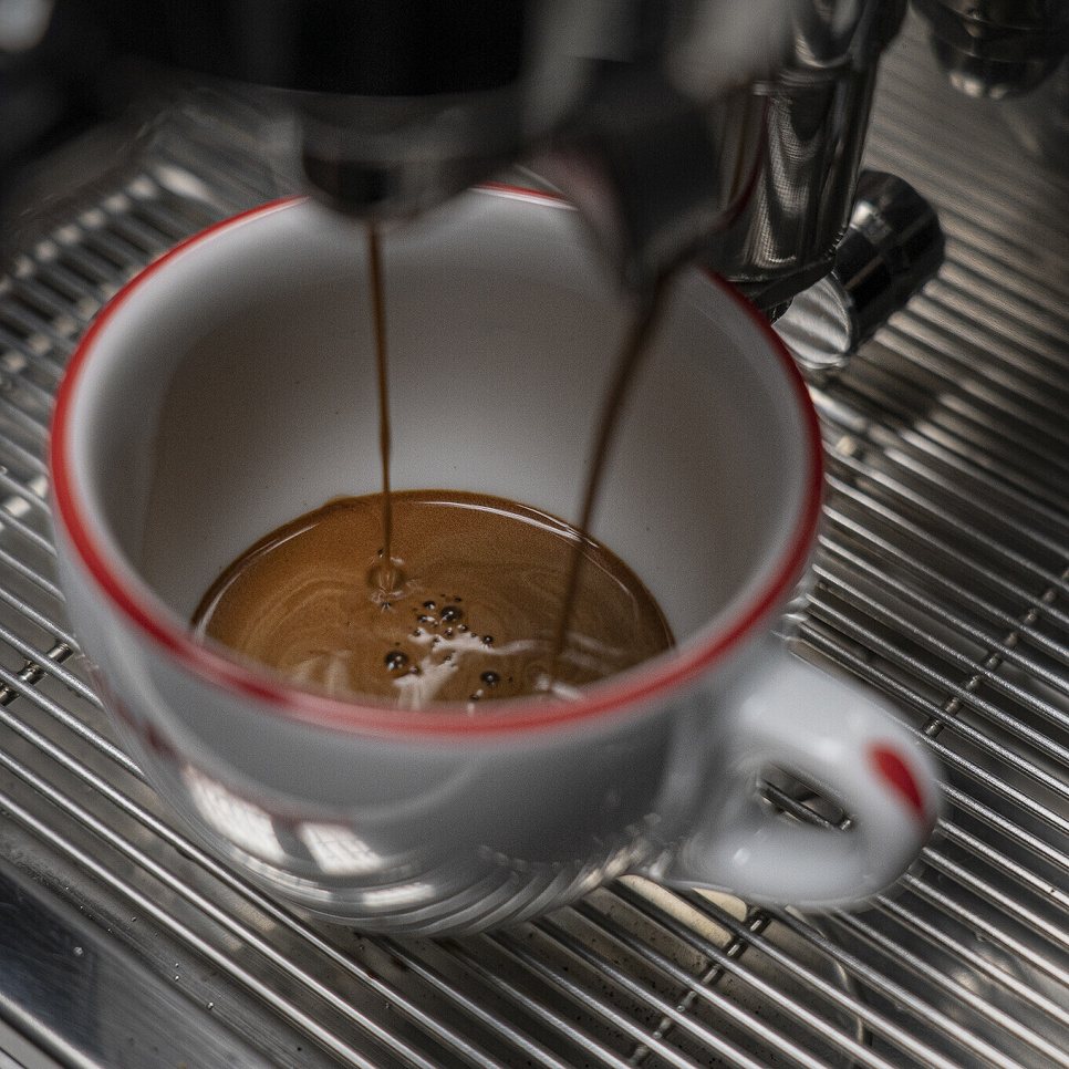 Cappuccinokopper med fat, 6-pakning - La Pavoni