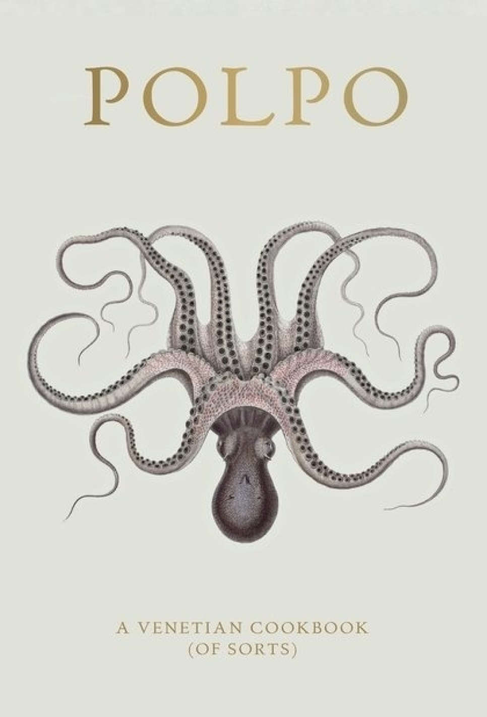 Polpo, A Venetian Cookbook (Of Sorts) - Russel Norman i gruppen Matlaging / Kokebøker / Kjøkken & Kulturer / Italia hos The Kitchen Lab (1987-26127)