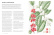 The World Atlas of Coffee, 3rd Edition - James Hoffmann