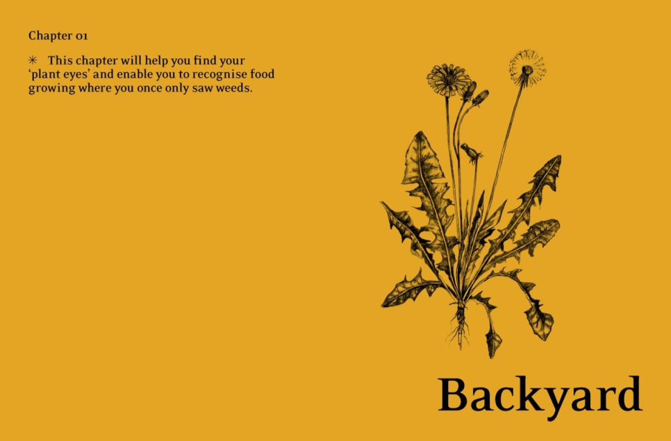 Eat Weeds - Diego Bonetto Eat Weeds - Diego Bonetto