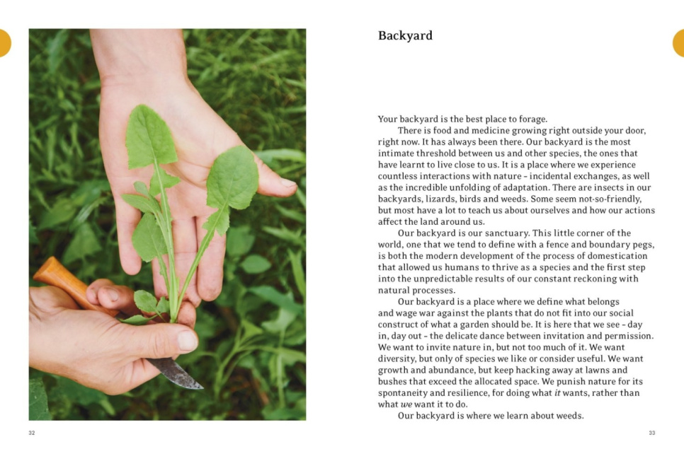 Eat Weeds - Diego Bonetto Eat Weeds - Diego Bonetto