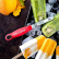 Serrated Peeler - Microplane Serrated Peeler - Microplane