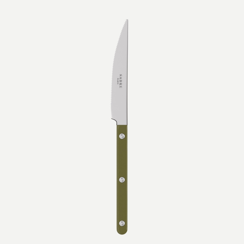 Matkniv, Bistrot, Green fern - Sabre Paris i gruppen Borddekking / Bestikk / Kniver hos The Kitchen Lab (2195-32456)