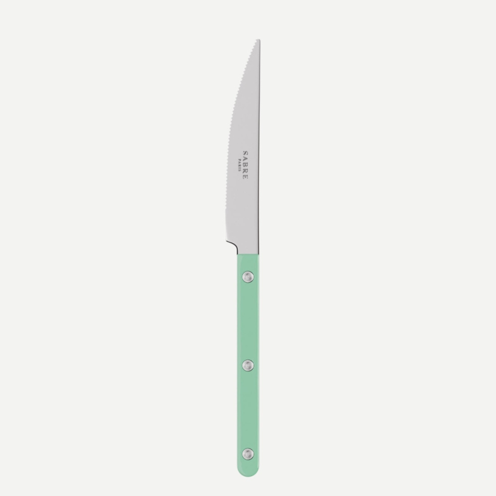 Matkniv, Bistrot, Pastel green - Sabre Paris i gruppen Borddekking / Bestikk / Kniver hos The Kitchen Lab (2195-32460)