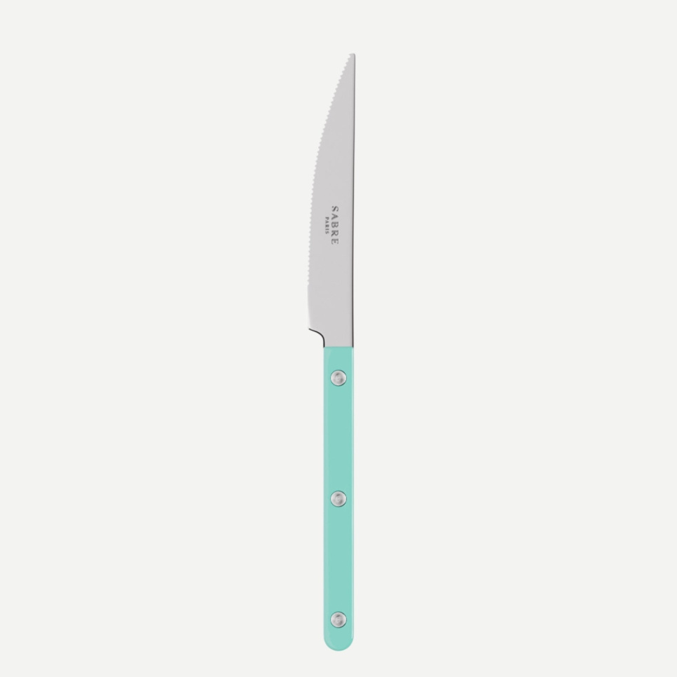 Matkniv, Bistrot, Turquoise - Sabre Paris i gruppen Borddekking / Bestikk / Kniver hos The Kitchen Lab (2195-32463)