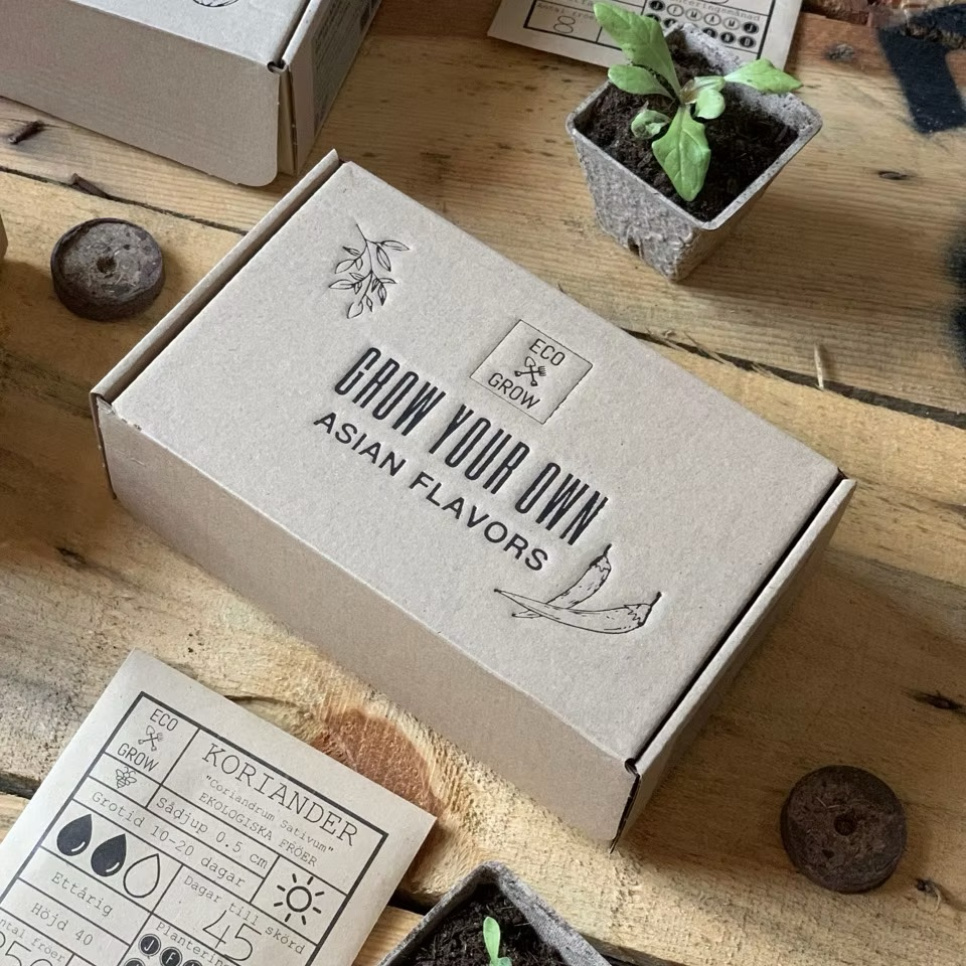 Voksesett, asiatiske smaker (4 stk) - Eco Grow