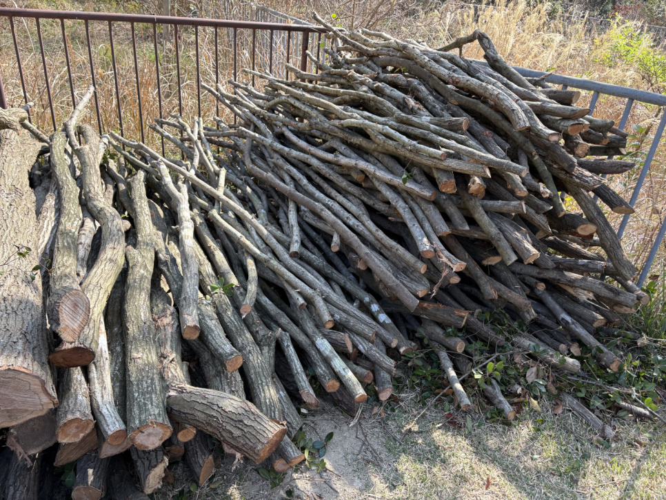 Trekull, Kishu-Binchotan av eik fra Ubamegashi, ca. 1 kg - Kisyu Sumikobo