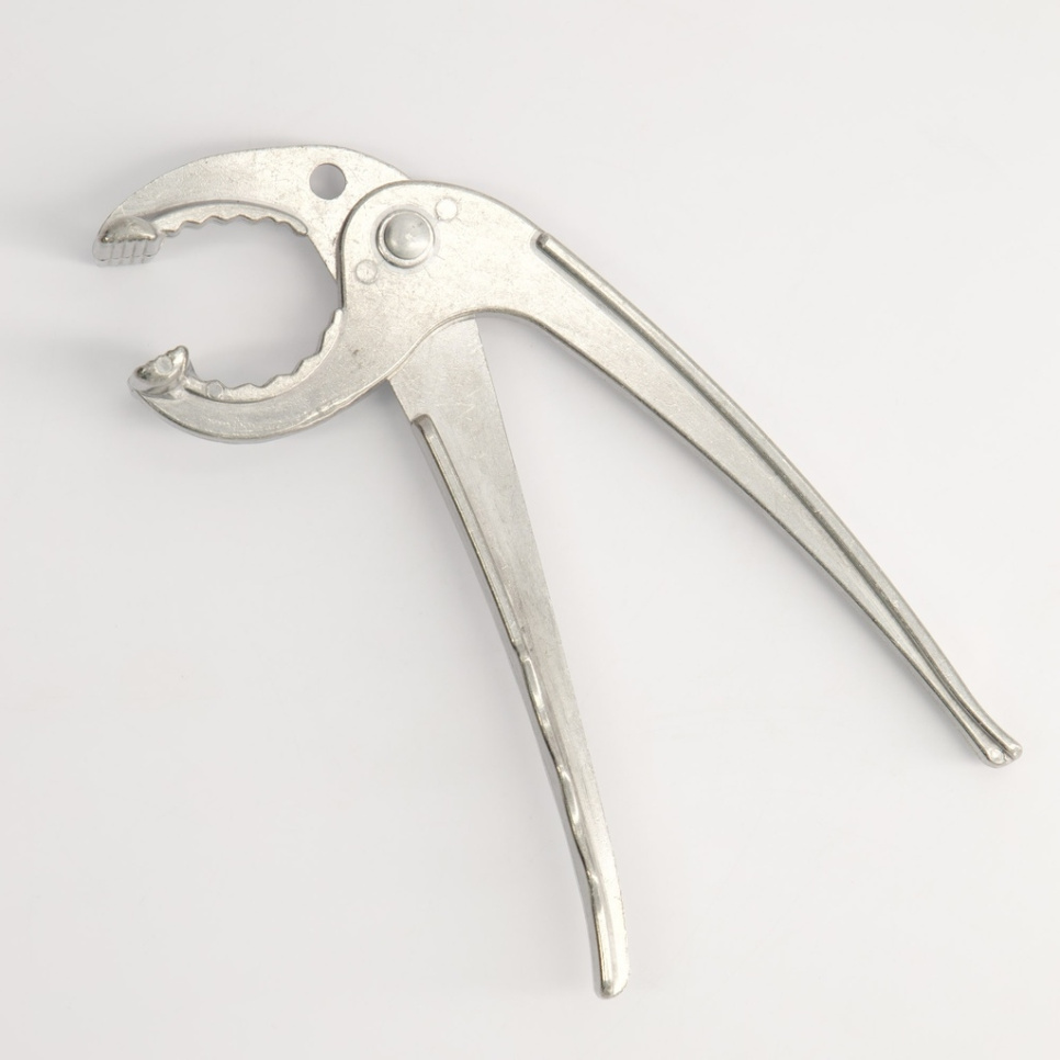 Tang til Bibimbap-bolle