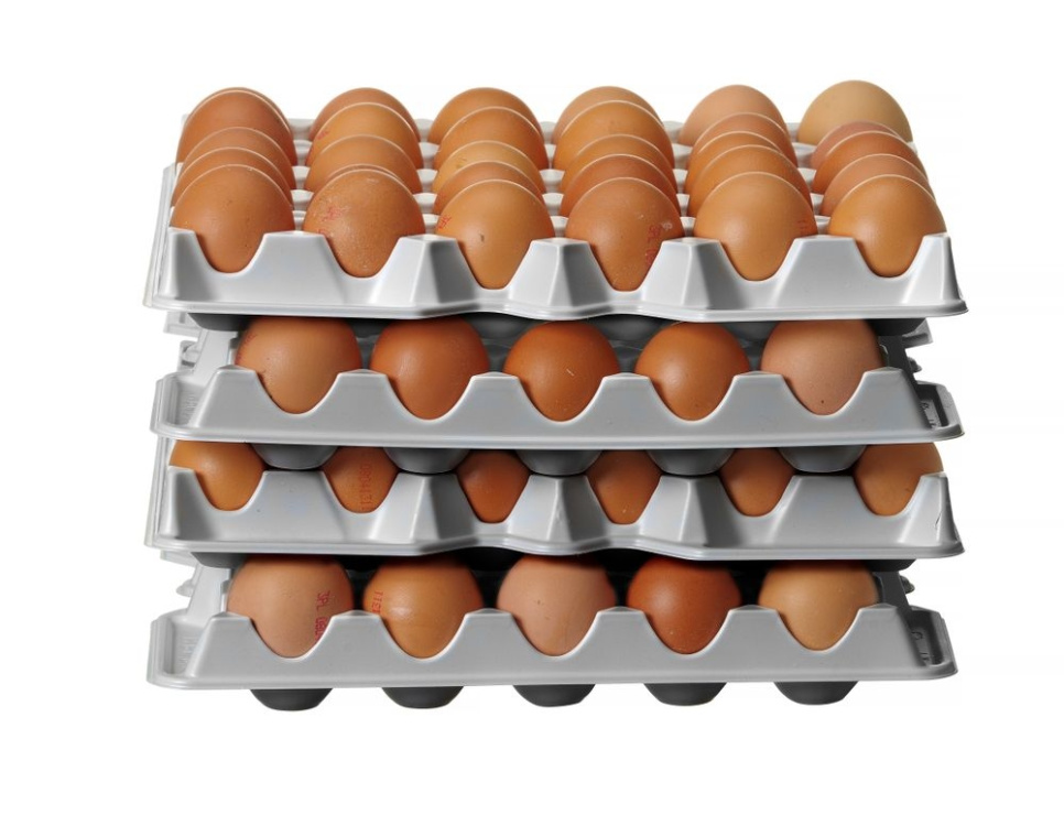 Plastikk eggbrett, 4-pak - Hendi