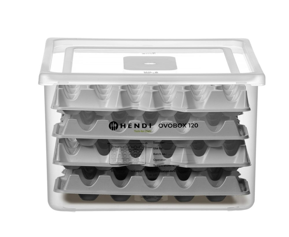 Eggbeholder, GN 2/3 - Hendi
