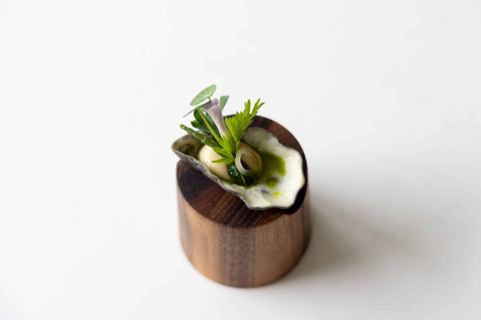 Krustadejern, Realistic Oyster Pie Tee - Moldbrothers