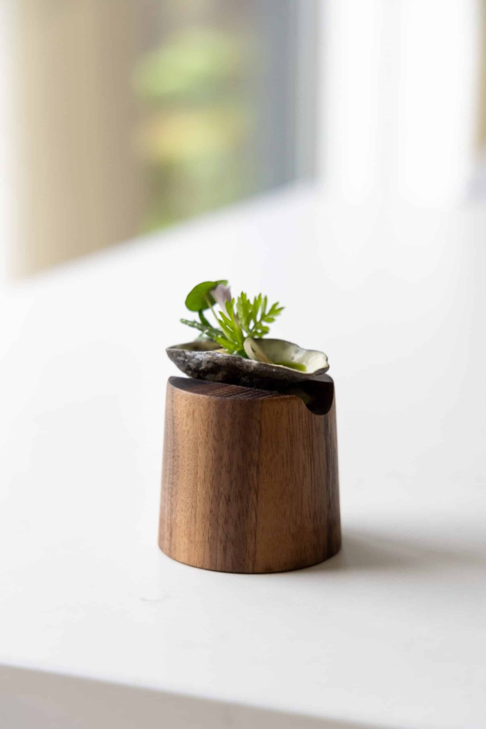 Krustadejern, Realistic Oyster Pie Tee - Moldbrothers