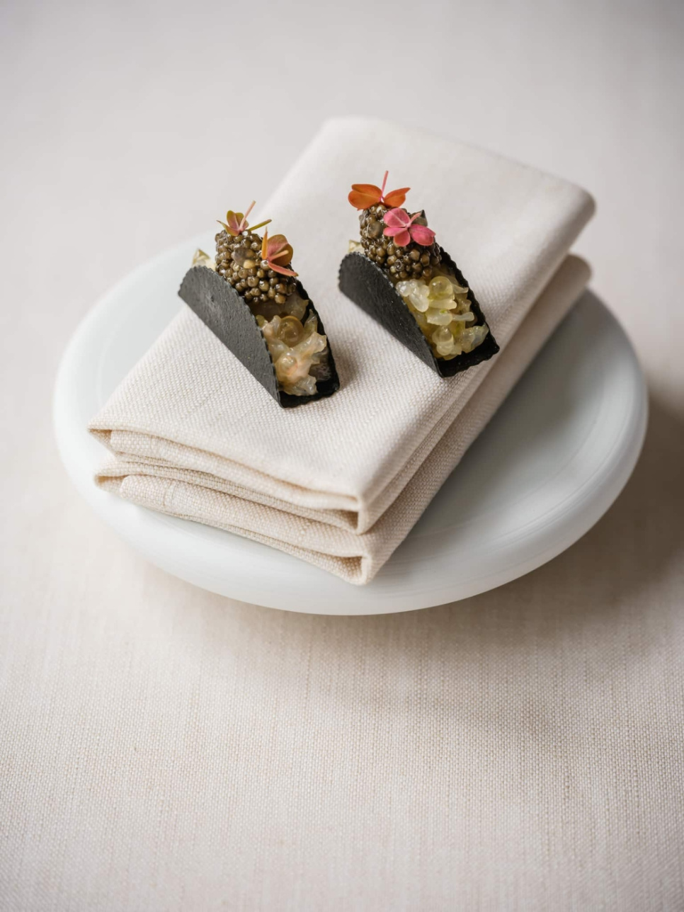 Tacoformer, Taco Shaper - Moldbrothers