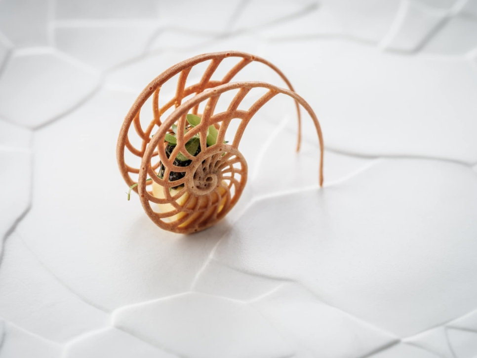 Silikonform, Nautilus Tuille Mold - Moldbrothers