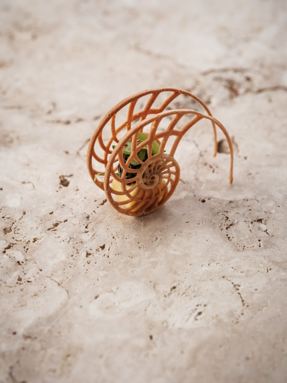 Silikonform, Nautilus Tuille Mold - Moldbrothers