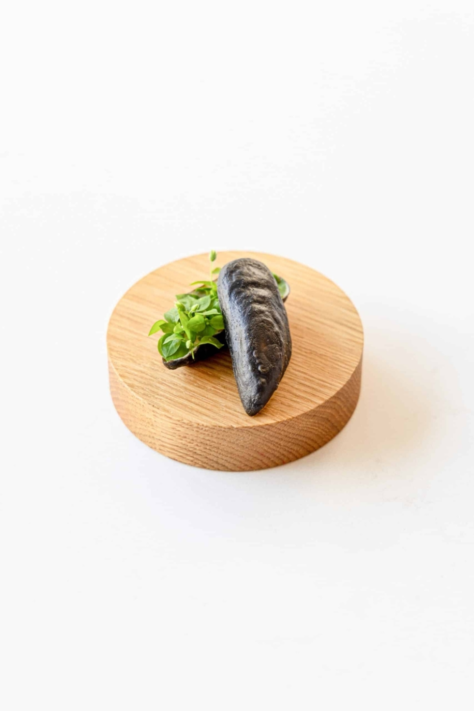 Krustadejern, Realistic Mussel Pie Tee - Moldbrothers