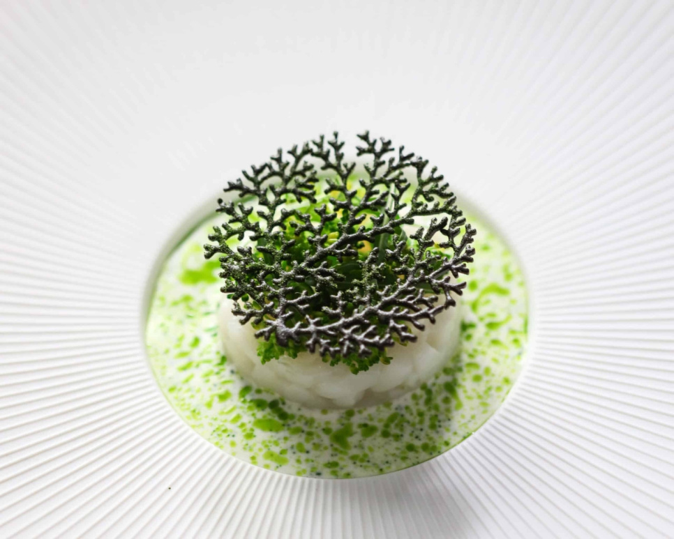 Silikonform, Coral Tuille Mold - Moldbrothers