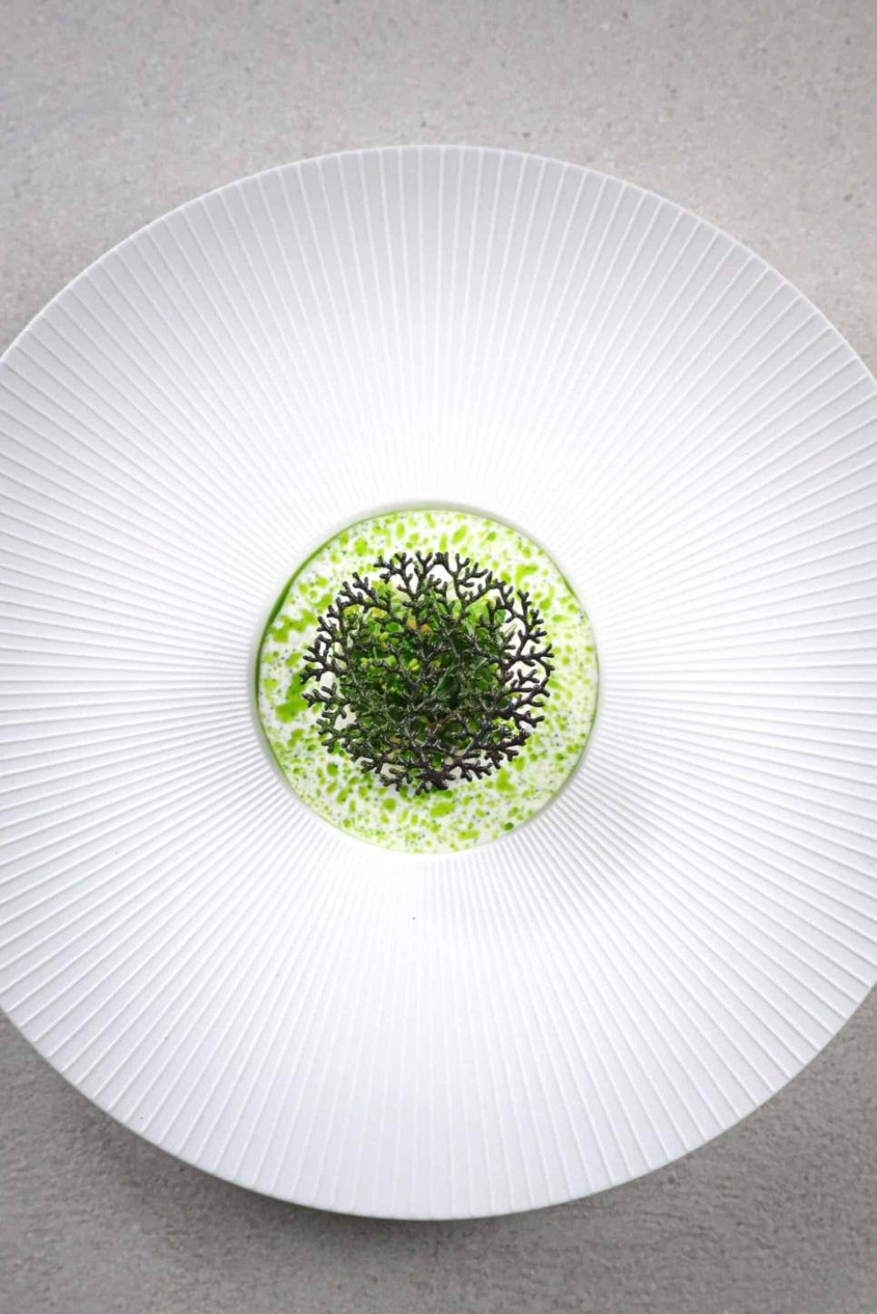 Silikonform, Coral Tuille Mold - Moldbrothers