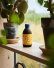 Corn Yuzu Hot Sauce, 250 ml - Noma Projects